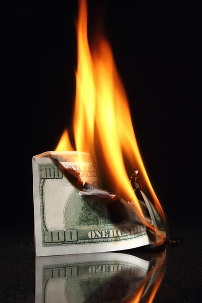 Dollars in fire, burning dollar, ashes. Crisis Royalty Free Stock Images