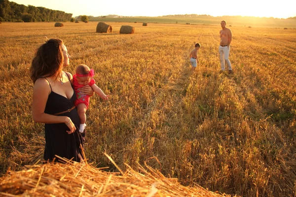 Família feliz no campo de trigo no dia ensolarado — Fotografia de Stock