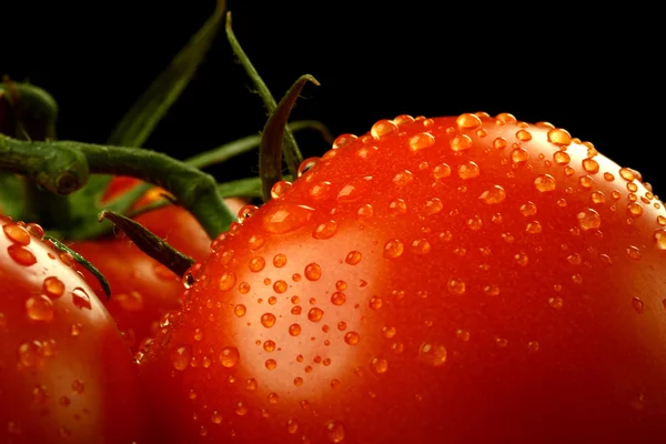 Αγρόκτημα νωπά οργανικές ντομάτες από πάνω — Φωτογραφία Αρχείου