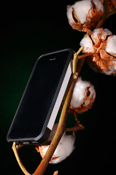 Téléphone intelligent avec coton — Photo