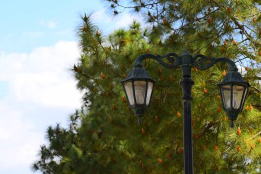 Park lambasının arkası güzel..