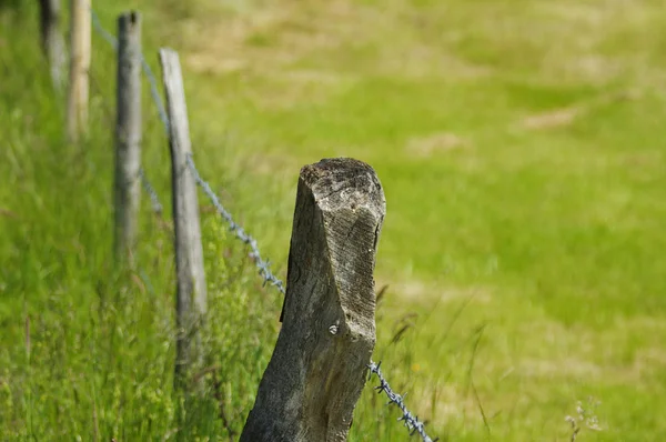 Gros plan d'une clôture barbelée — Photo