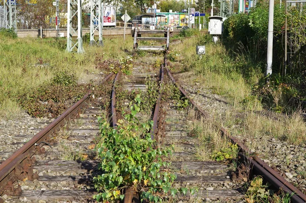 Régi elhagyott rozsdás vasúti sín-val fű benőtt — Stock Fotó
