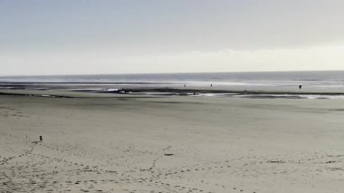 Geniş kumlu sahil gelgit düzlükleriyle, uzak yürüyenlerle ve bir köpekle, kuzey Fransa 'da Quend sahiline Fort-Mahon, sakin deniz ufku, yumuşak ışık, minimalist kopya alanı