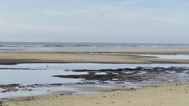 Berrak mavi gökyüzünün altında yansıtıcı gelgit havuzları ve kumsalları olan sakin deniz kenarındaki martılar Quend yazında Fransa 'nın sakin kıyı şeridi.