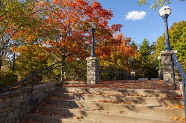 Frederick, Maryland 'deki bir şehir parkında sonbahar sahnesi. Sergide düşmüş yapraklar, lamba direkleri, korkuluklar, kırmızı akçaağaç ağaçları, taş bir duvar ve renkli yapraklarla kaplı beton merdivenler yer alıyor.. 