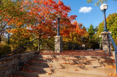 An autumn scene at a city park in Frederick, Maryland. It features concrete stairs covered with fallen leaves, lamp posts, railings, red maple trees a stone wall and colorful foliage.  clipart
