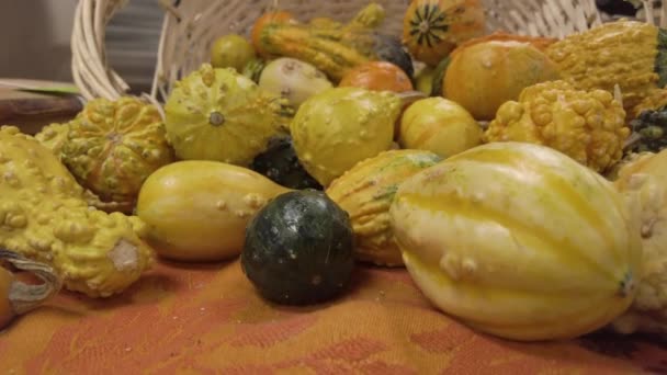 異なる品種の装飾的なグールドは わらバスケットの前にオレンジシートに置かれています ハロウィーンや感謝祭のテーマで理想的な使用と近い秋の収穫の概念 — ストック動画