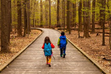 İki sevimli çocuk (bir erkek ve bir kız) yağmurluk, sırt çantası ve yürüyüş ayakkabısı giyerek sık bir ormanda, yapraklarla kaplı bir ahşap yolda birlikte yürüyorlar. Bir sonbahar sahnesi.
