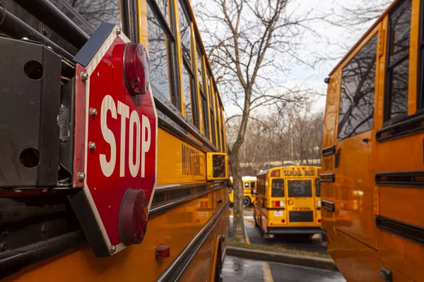 A close up image of yellow American school bus with selective focus on the stop sign on the side. Buses are parked at adjacent spots at parking lots. Image shows multiple vehicles in the background.
