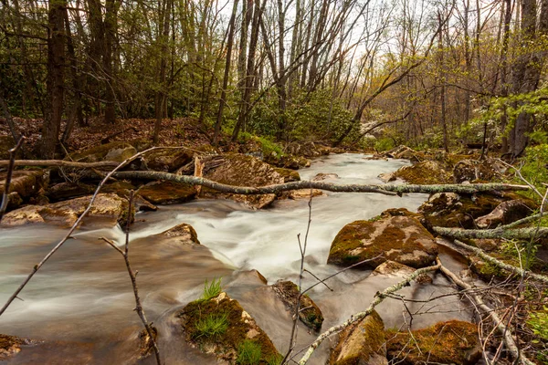 A forest scene in West Virginia with a mountain spring water stream is descending down the Appalachian mountains. Long exposure image shows silky smooth water with slippery mossy rocks and branches