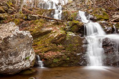Sonbaharda Shenandoah Ulusal Parkı 'ndaki Dark Hallow Falls' un uzun pozlama görüntüleri. Görüntü dağdan gelen yosunlu kayalar ve ağaçlarla kaplı çağlayan suyu gösteriyor..