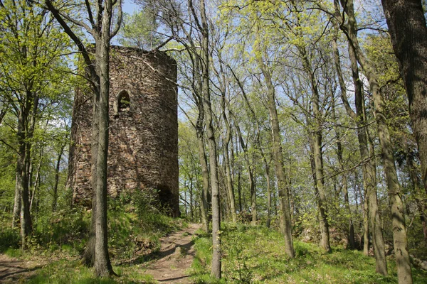 Ruinas del antiguo castillo checo — Foto de Stock