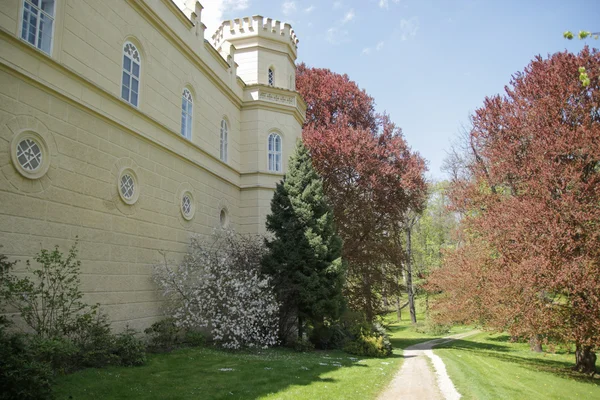 Schöne Chyse-Burg — Stockfoto