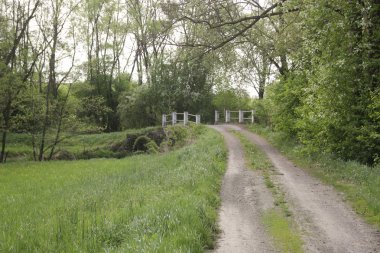 Orman Nehri üzerinde taş köprü