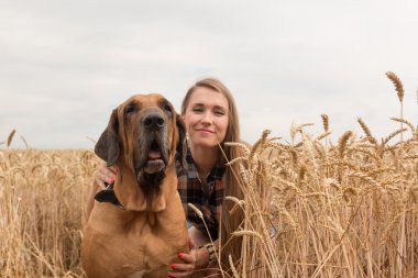 Mutlu genç kadın ile köpek altın buğday alanında