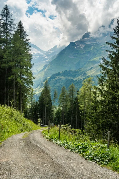 Grossglockner dağ yolunda yaz zaman Avusturya — Stok fotoğraf