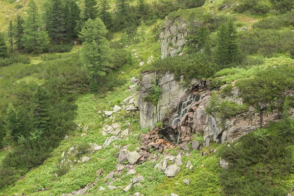 Fiume alpino che scorre dalle montagne — Foto Stock