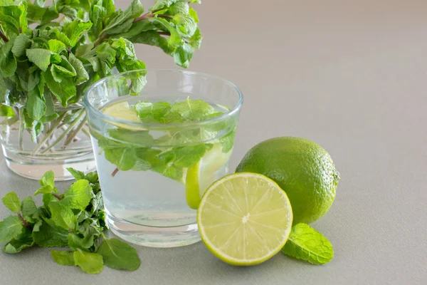 Cóctel Mojito con lima y menta en vaso sobre fondo gris —  Fotos de Stock