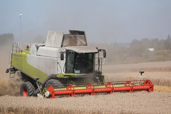 Groen rood werkend oogsten combineren op het gebied van tarwe — Stockfoto