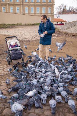 Prag 'da bebekleri olan bir adam, birçok güvercini ekmekle besliyor. Aç kuşları besliyor.