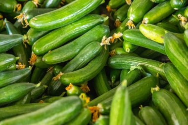 Türkiye 'nin Antalya kentindeki Türk pazarında taze sebze satışı