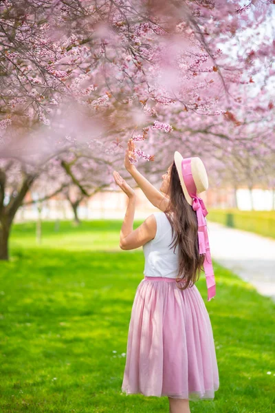 Beautiful woman in straw hat walking in a summer garden with blooming cherry trees. Girl wearing a pink skirt Stock Picture