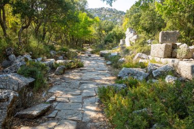 Türkiye 'nin Antalya kenti yakınlarında turist bulunmayan antik Termessos kentinin kalıntıları