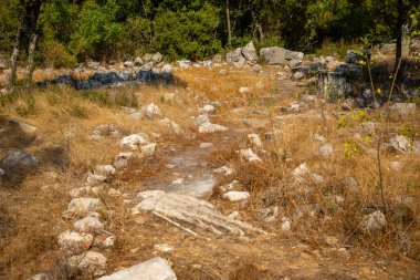 Türkiye 'nin Antalya kenti yakınlarında turist bulunmayan antik Termessos kentinin ağaç ve kalıntıları arasındaki patika