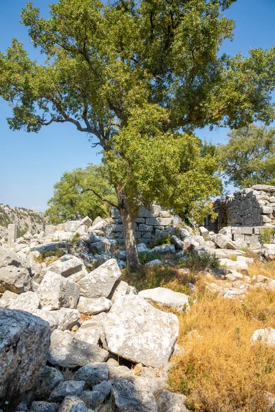 Ruinas de la antigua ciudad de Termessos sin turistas cerca de Antalya, Turquía — Foto de Stock
