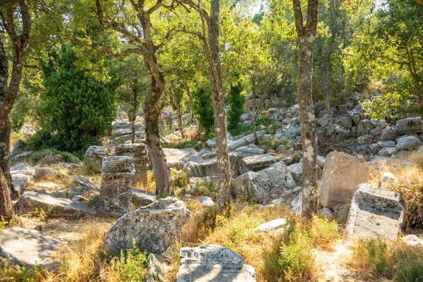 トルコのアンタルヤ近くの観光客なしTermessosの古代都市の遺跡 — ストック写真