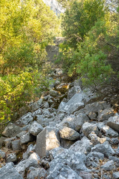 Stezka mezi stromy a troskami starobylého města Termessos bez turistů v blízkosti Antalya, Turecko — Stock fotografie