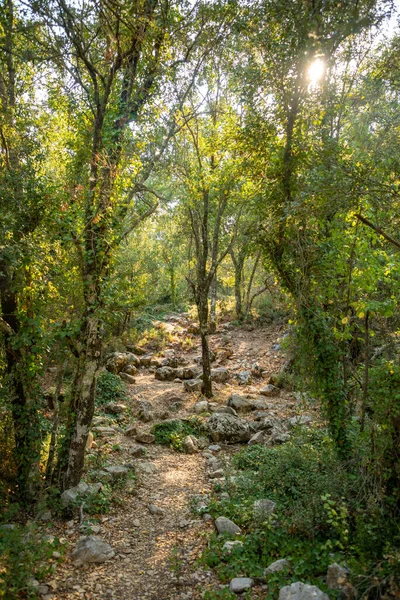 Fußweg zwischen Bäumen und Ruinen der antiken Stadt Termessos in der Nähe von Antalya, Türkei — Stockfoto