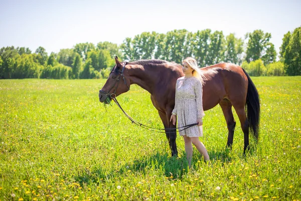 Młoda Kobieta Jeździec Blondynka Długimi Włosami Sukience Pozowanie Brązowym Koniem — Zdjęcie stockowe