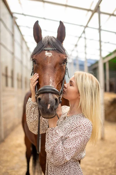 Young Rider Woman Blonde Long Hair Dress Posing Brown Horse — Stock Photo, Image