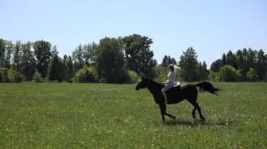 Uzun saçlı, sarışın, kahverengi atlı, tarlada ve ormanda dört nala giden genç bir sarışın.