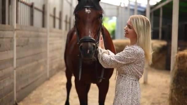 Una joven jinete rubia con el pelo largo en un vestido posando con caballo marrón dentro del establo ligero, Rusia — Vídeos de Stock