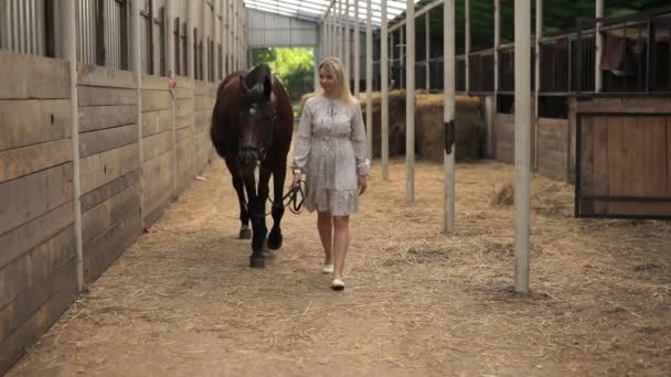 Una joven jinete rubia con el pelo largo en un vestido posando con caballo marrón dentro del establo ligero, Rusia — Vídeos de Stock