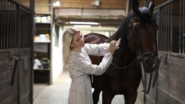 Mladá jezdkyně blondýna s dlouhými vlasy v šatech pózuje s hnědým koněm uvnitř stáje, Rusko — Stock video