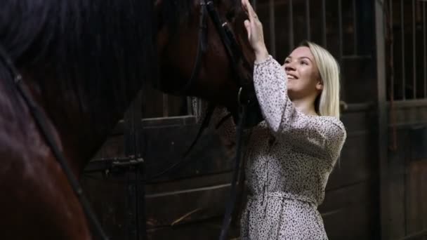 Uma jovem mulher piloto loira com cabelos longos em um vestido posando com cavalo marrom dentro estável, Rússia — Vídeo de Stock