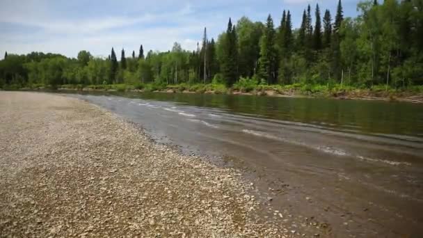 Ποταμός Taidon που ρέει μέσα από τα δάση taiga, Νότια Σιβηρία, Ρωσία — Αρχείο Βίντεο