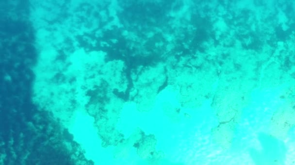 クロアチアソルタ島の透明ブルーの海の空中ビュー — ストック動画