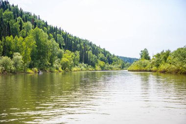 Tayga ormanlarından akan Taidon Nehri, Güney Sibirya, Rusya