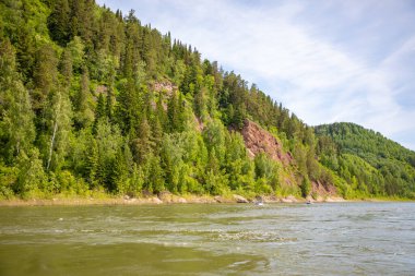 Tayga ormanlarından akan Tom Nehri, Güney Sibirya, Rusya