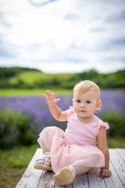 Mosolygó kislány rózsaszín ruhában a levendulamezőn, Cseh Köztársaság — Stock Fotó