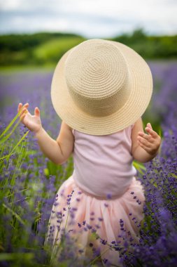Çek Cumhuriyeti 'nde lavanta tarlasında pembe elbiseli gülümseyen bir kız bebek.