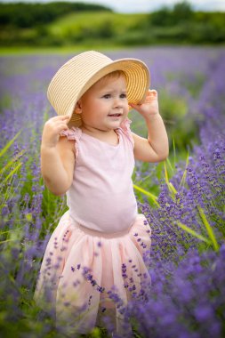 Çek Cumhuriyeti 'nde lavanta tarlasında pembe elbiseli gülümseyen bir kız bebek.