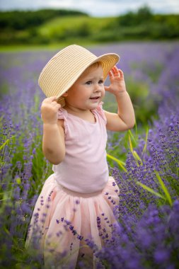 Çek Cumhuriyeti 'nde lavanta tarlasında pembe elbiseli gülümseyen bir kız bebek.