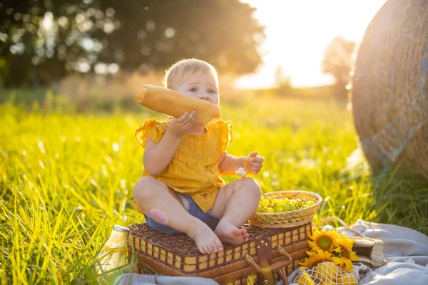 Mała dziewczynka je świeże bagietki i owoce na pikniku o zachodzie słońca w przyrodzie. — Zdjęcie stockowe