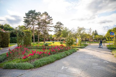 Prag, Çek Cumhuriyeti - 23.08.2021: Çek Cumhuriyeti 'nin Prag kentindeki Petrin Tepesi' ndeki gül bahçesi.